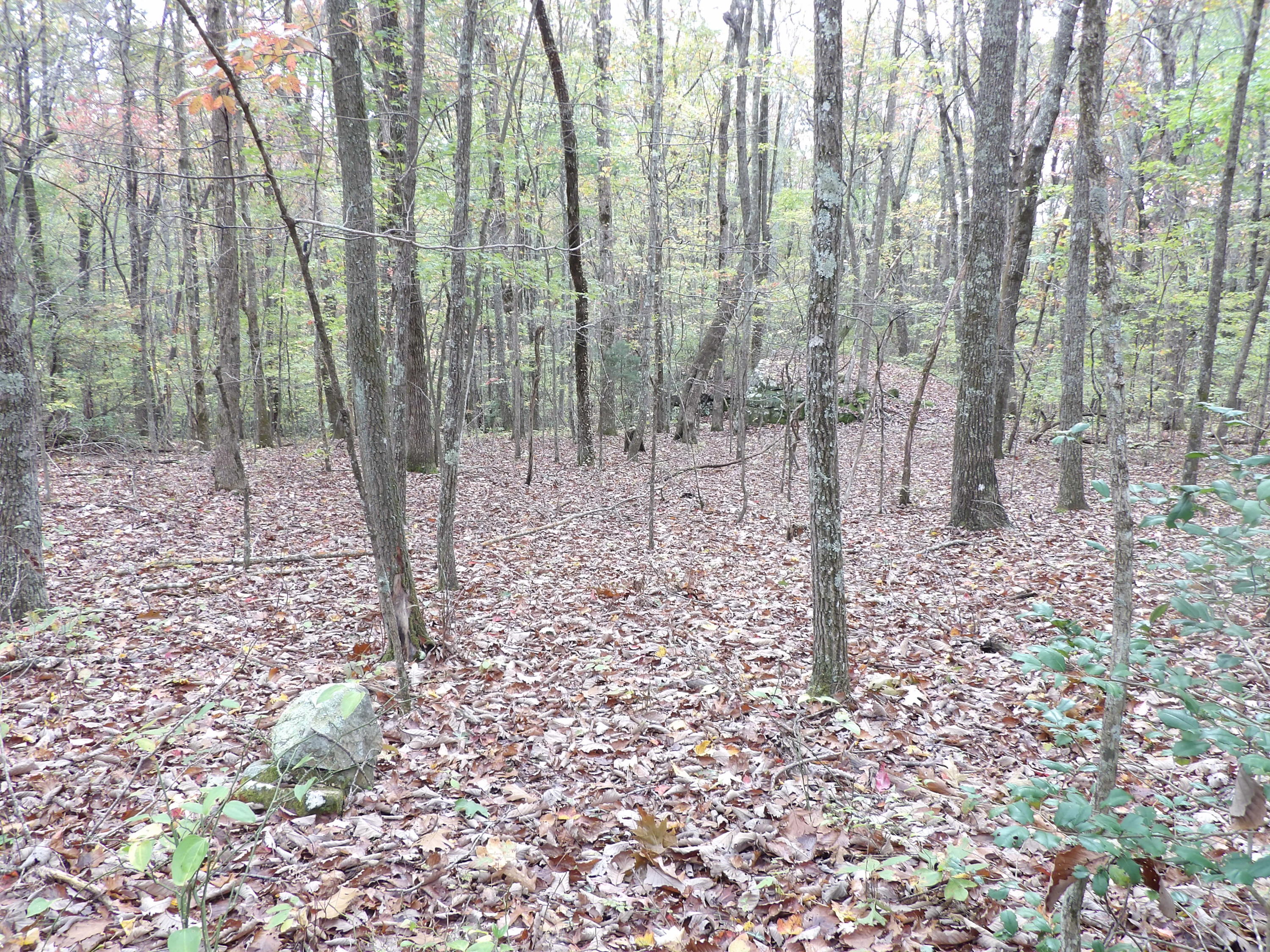 0 Fernhill Road, Unit 65 Pikeville, TN 37367 - Photo 22 of 24 100_1657
