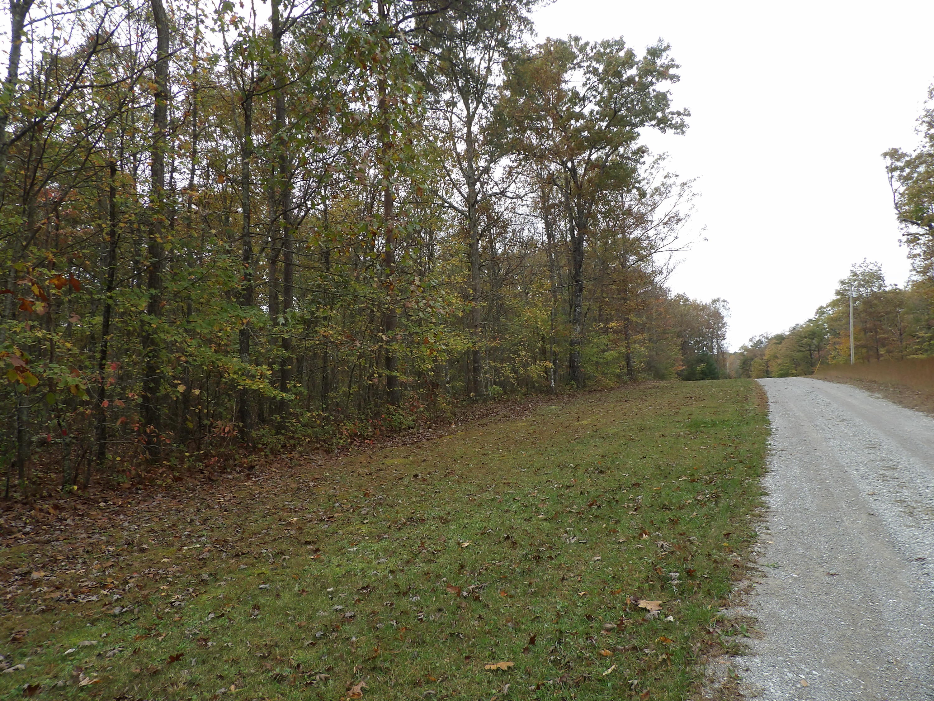 0 Fernhill Road, Unit 65 Pikeville, TN 37367 - Photo 24 of 24 100_1639
