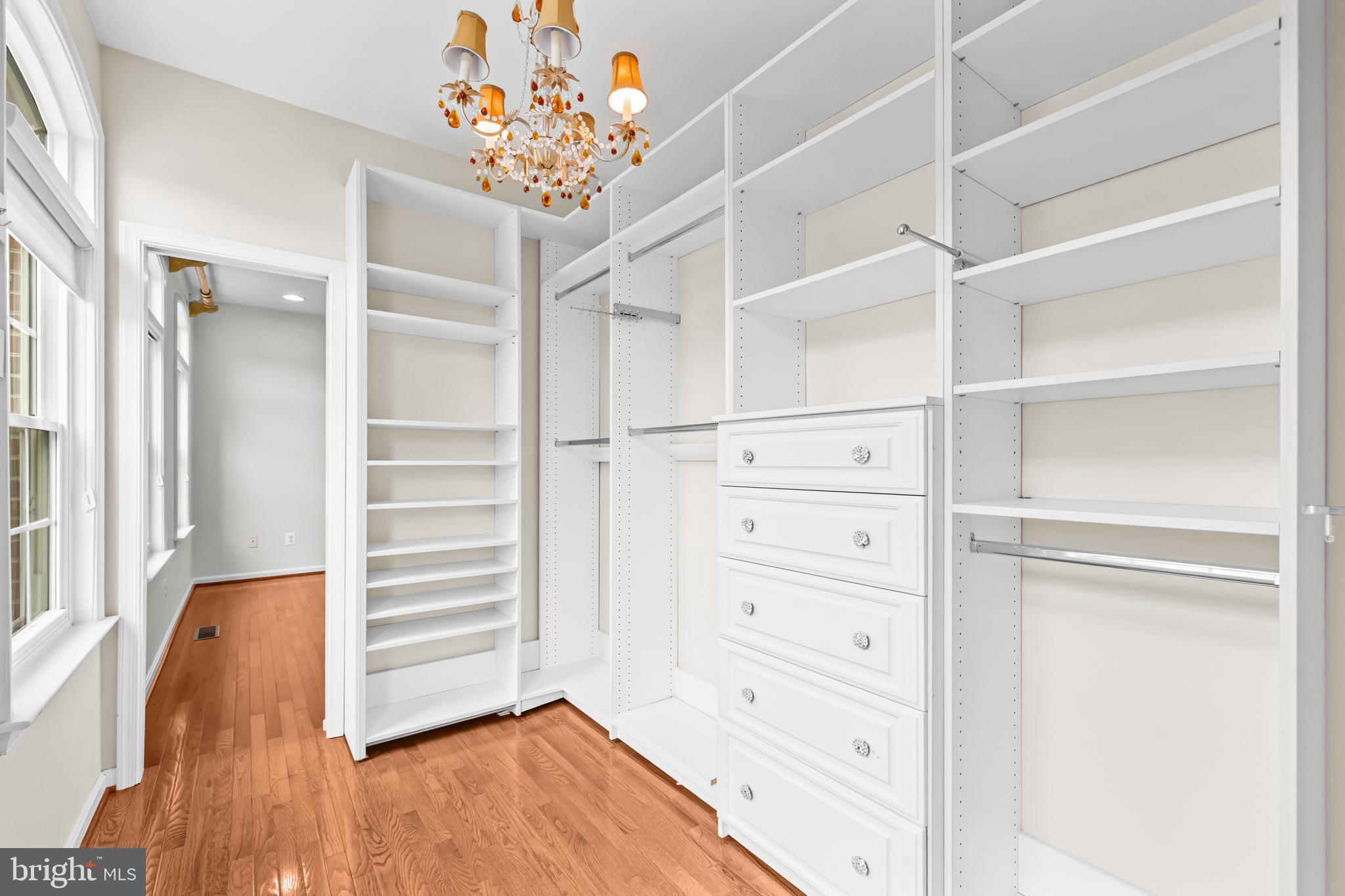 20366 Cloverfield Terrace Sterling, VA 20165 - Photo 25 of 96 a view of walk in closet with empty racks