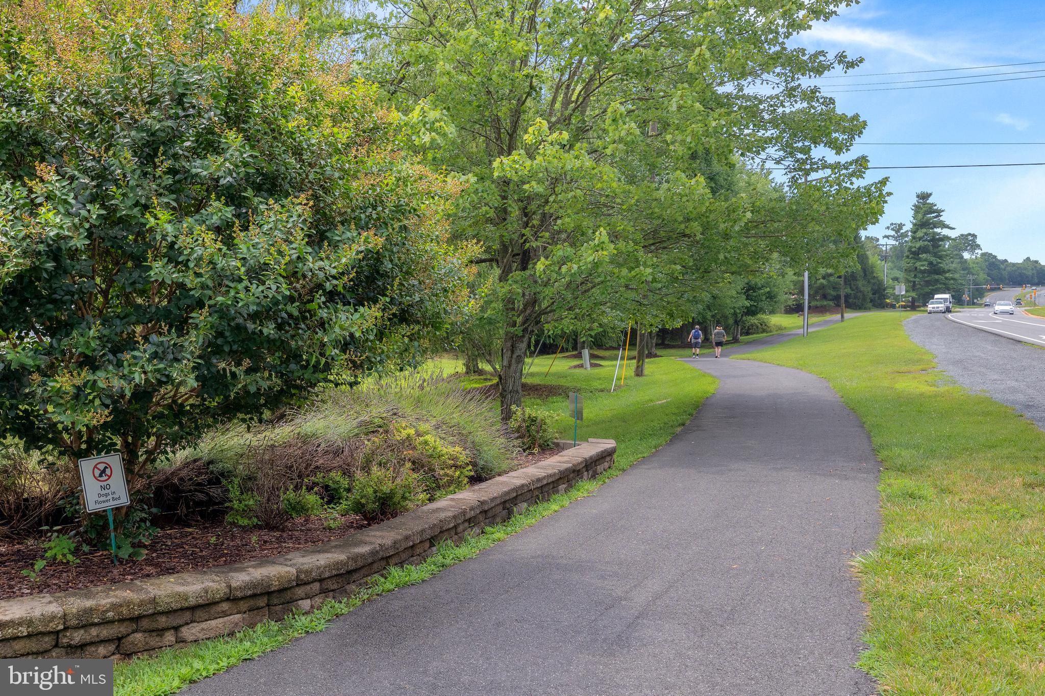 20366 Cloverfield Terrace Sterling, VA 20165 - Photo 95 of 96 a view of a park with large trees