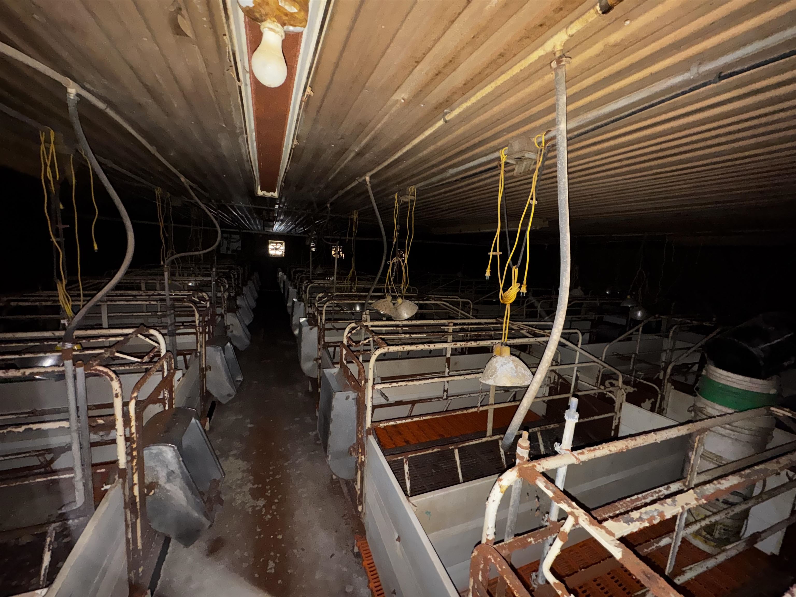 N2542 County Road O Road Oxford, WI 53952 - Photo 12 of 37