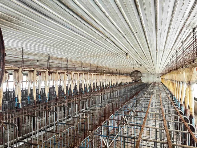 $450,000 | N2542 County Road O Road, Oxford, WI 53952