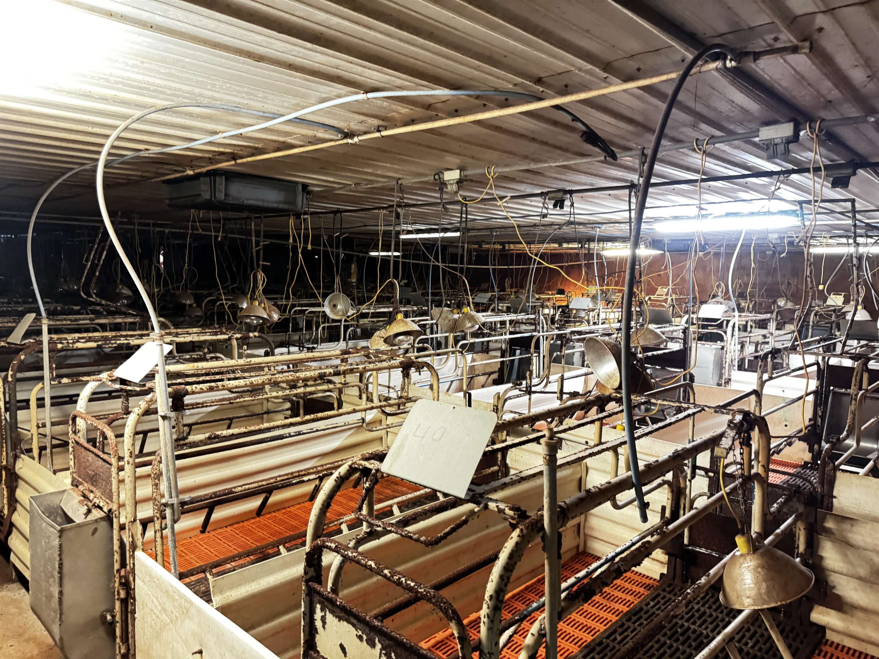 N2542 County Road O Road Oxford, WI 53952 - Photo 7 of 37