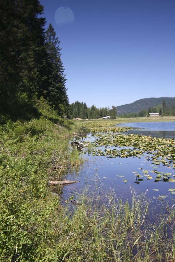 20.2 Providence Lake Loop Sagle, ID 83860 - Photo 1 of 1 20SmIMG_4926_1Gorgeous Providence Lakefr