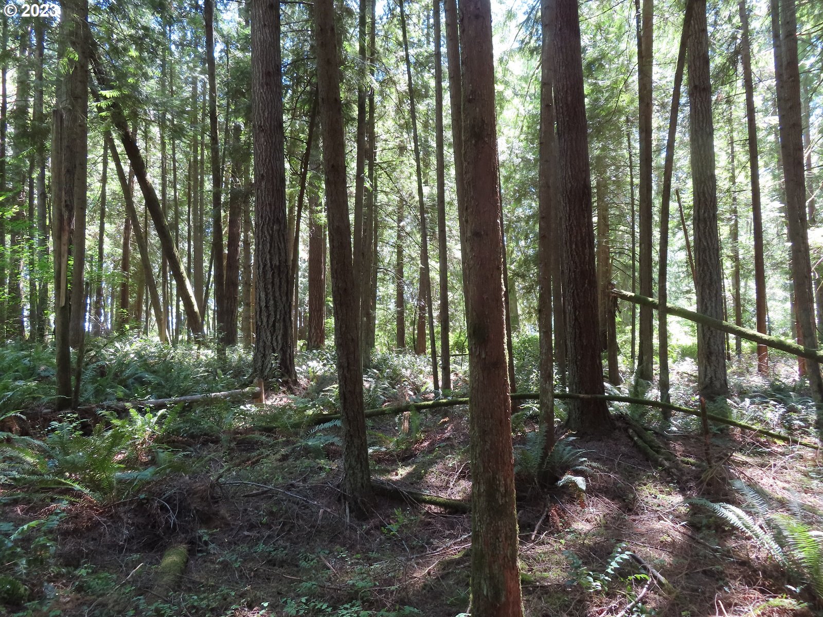 Logan Hill Road Chehalis, WA 98532 - Photo 3 of 26
