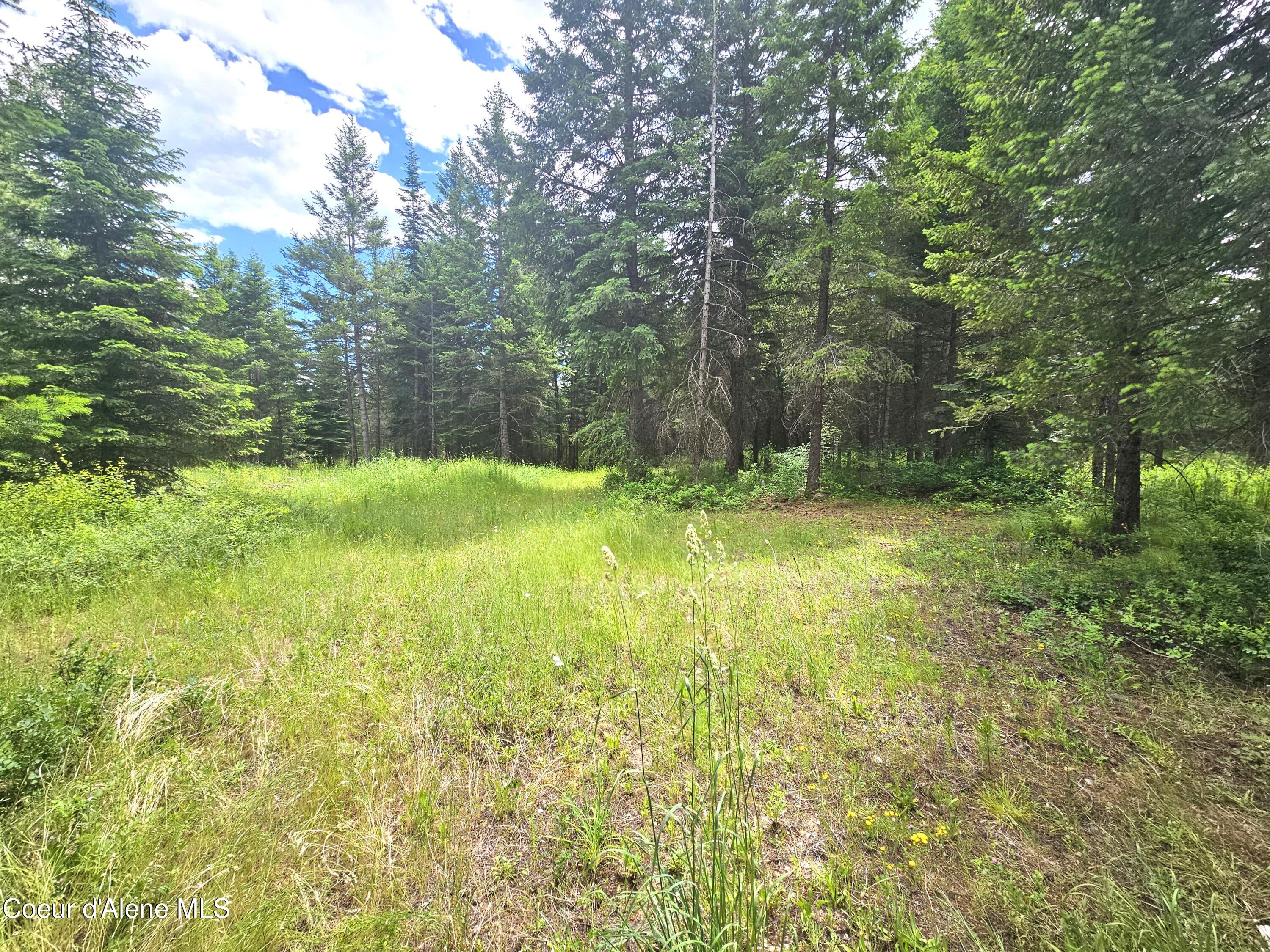 7248 Honeysuckle Road Athol, ID 83801 - Photo 13 of 16 13