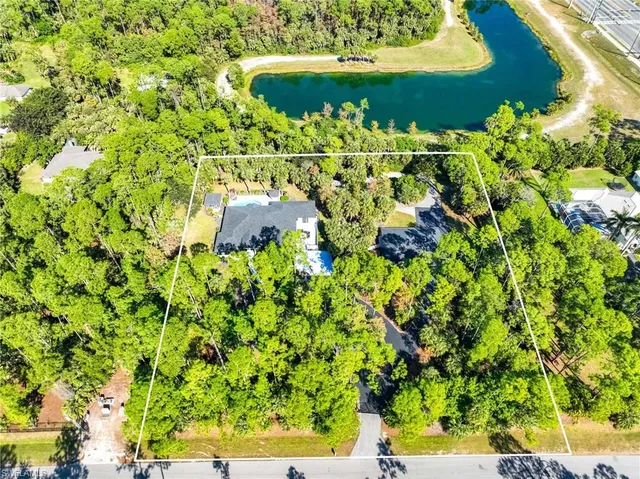 a view of a street with a tree