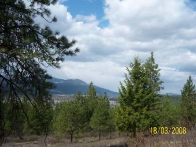 740 D Arden Butte Road Colville, WA 99114 - Photo 9 of 9