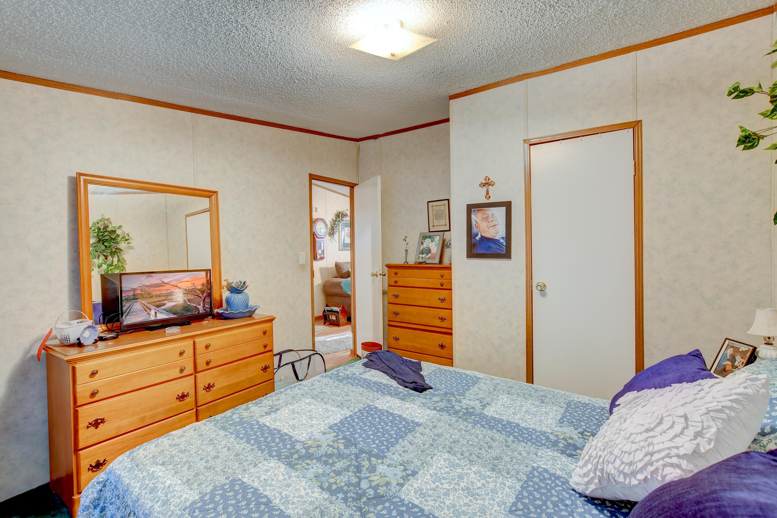 155 Red Oak Road Cottageville, SC 29435 - Photo 21 of 50 DSC_2844_5_6_7_8-Edit