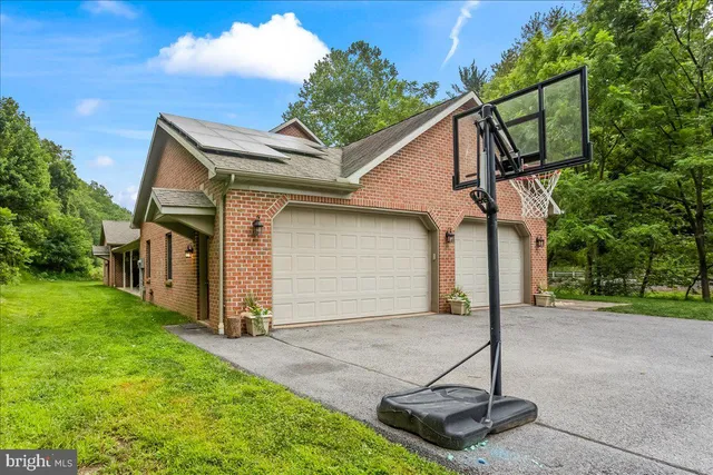 a view of a park with large trees
