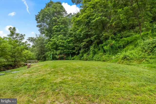 an aerial view of residential houses with outdoor space and trees
