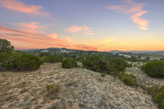 a view of a forest with a street