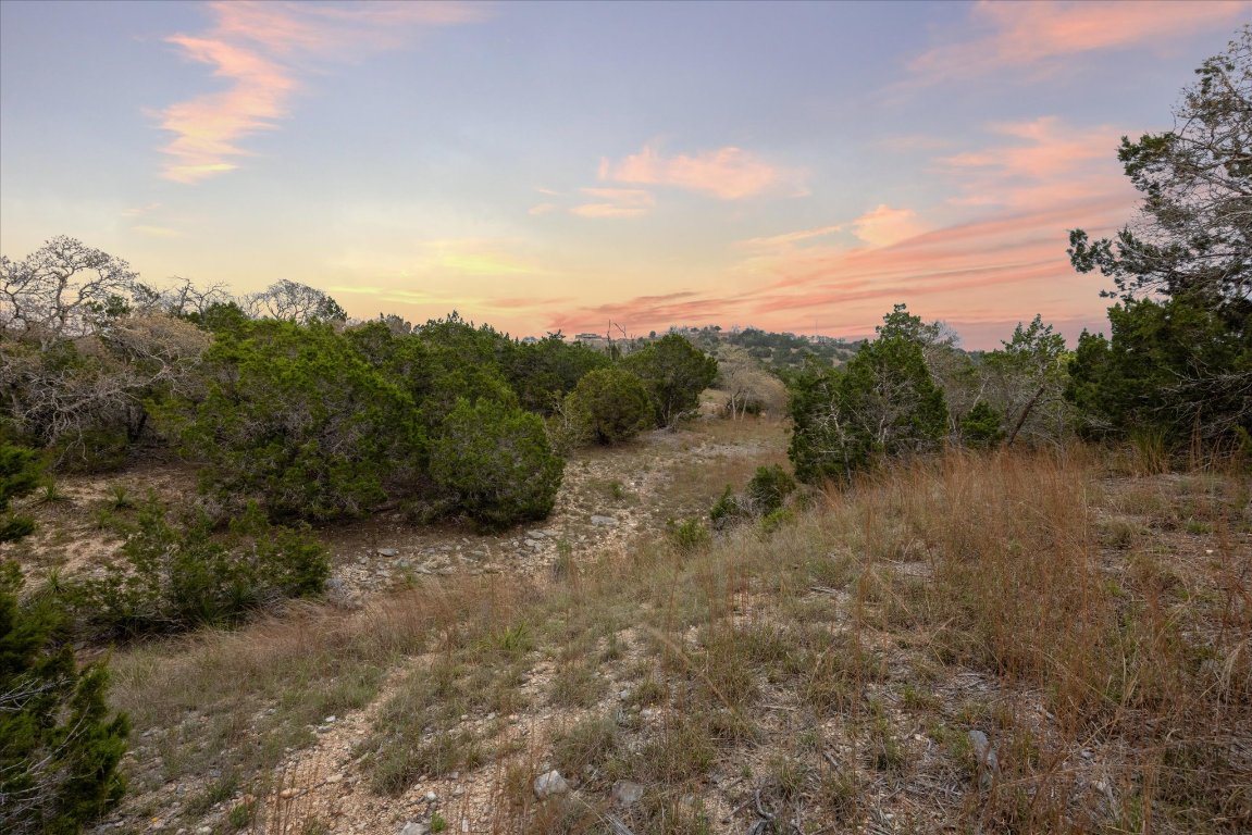 Lot 45 Falling Oak Trail Blanco, TX 78606 - Photo 5 of 11 a view of a forest with a street