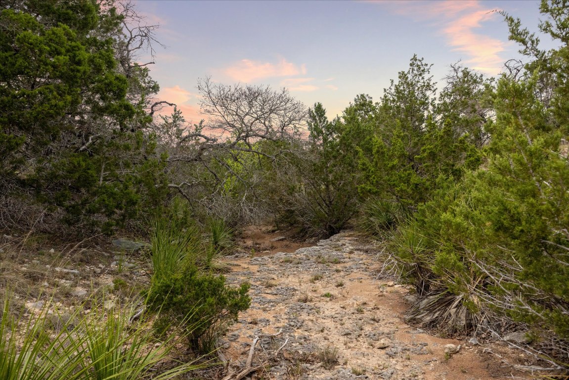 Lot 45 Falling Oak Trail Blanco, TX 78606 - Photo 6 of 11 a view of a yard with a tree