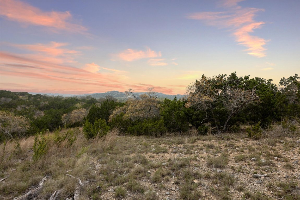 Lot 45 Falling Oak Trail Blanco, TX 78606 - Photo 7 of 11 a view of a forest with a tree in the background