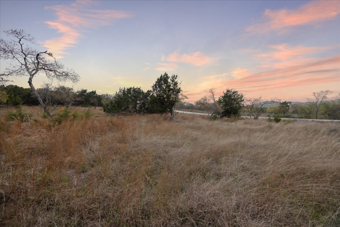 Lot 45 Falling Oak Trail Blanco, TX 78606 - Photo 9 of 11 a view of a field with trees in background