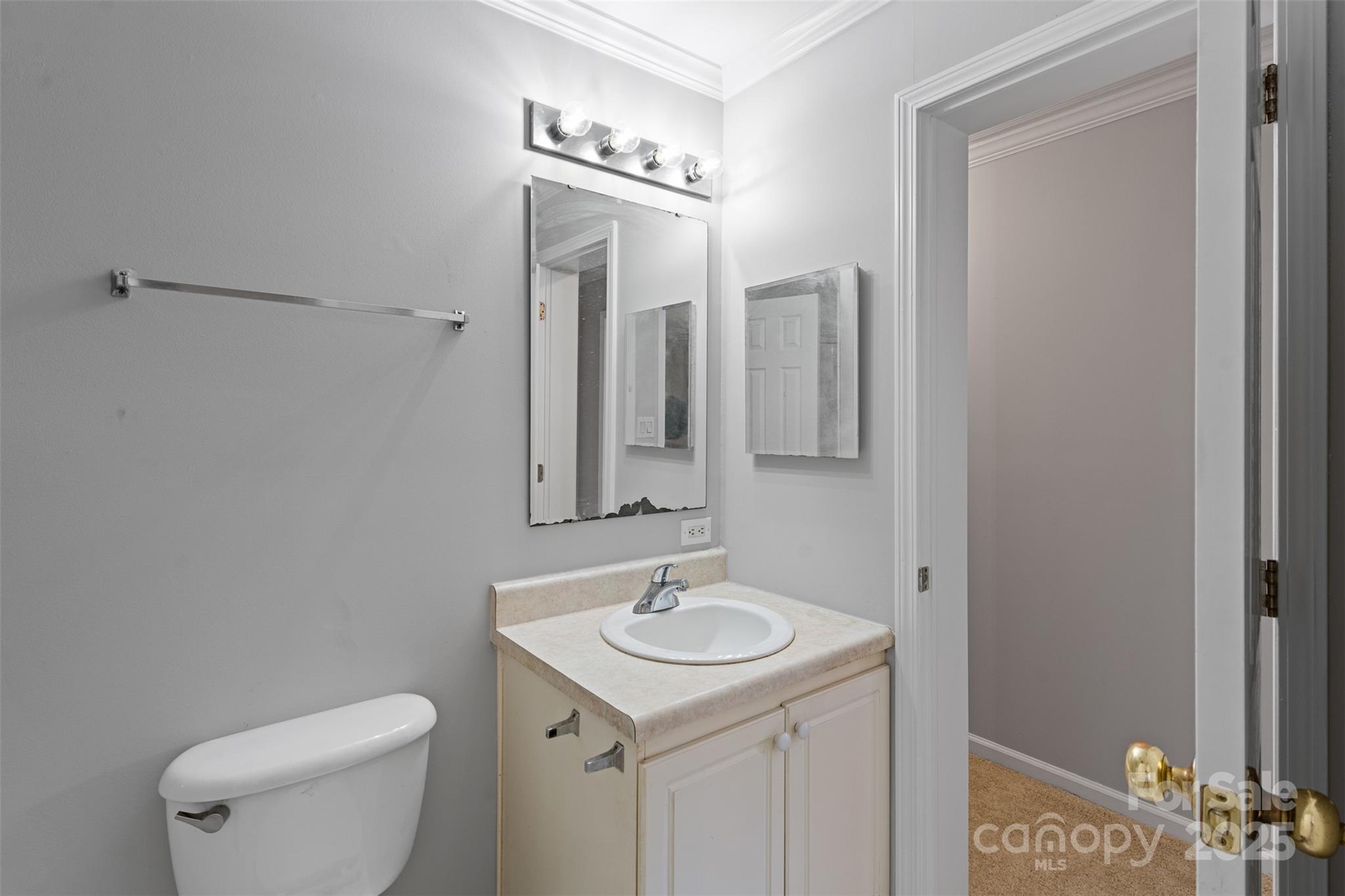 7019 Walnut Ridge Court Charlotte, NC 28273 - Photo 18 of 29 a bathroom with a sink a toilet and mirror