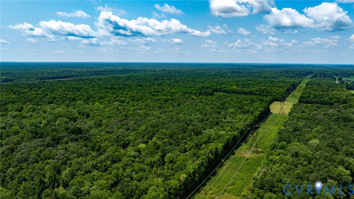 663.8-acres Peach Road Chesapeake, VA 23321 - Photo 29 of 48 Gallery Image 29