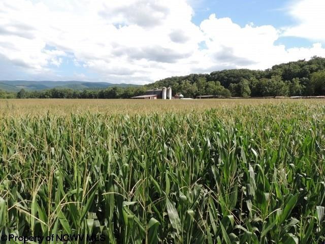 629 B Butts Farm Road Parsons, WV 26287 - Photo 4 of 11 Gallery Image 4
