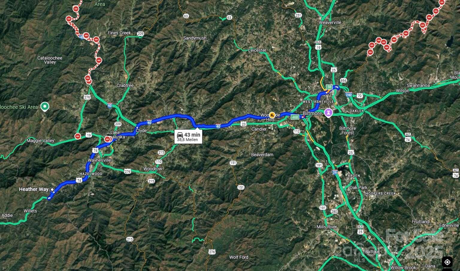 0 Heather Way, Unit LOT 12 Waynesville, NC 28786 - Photo 4 of 6 a small garden covered with tall trees