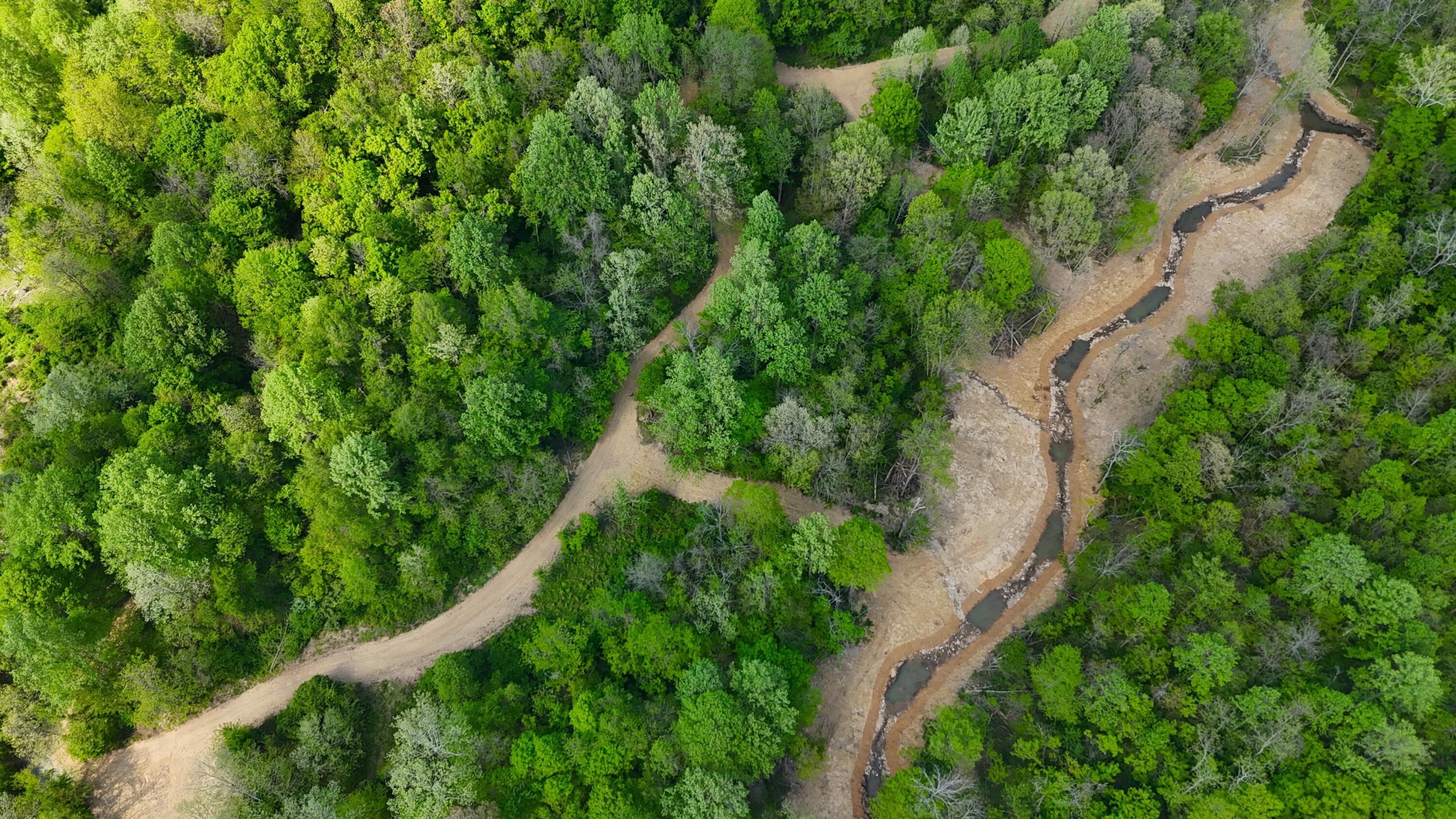9477 Beechgrove Road Burlington, KY 41005 - Photo 18 of 47 DJI_20260423160242_0544_D
