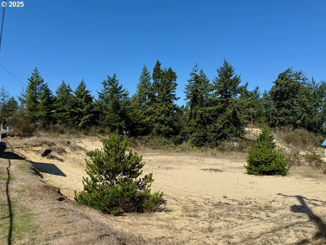 a view of a yard with a tree
