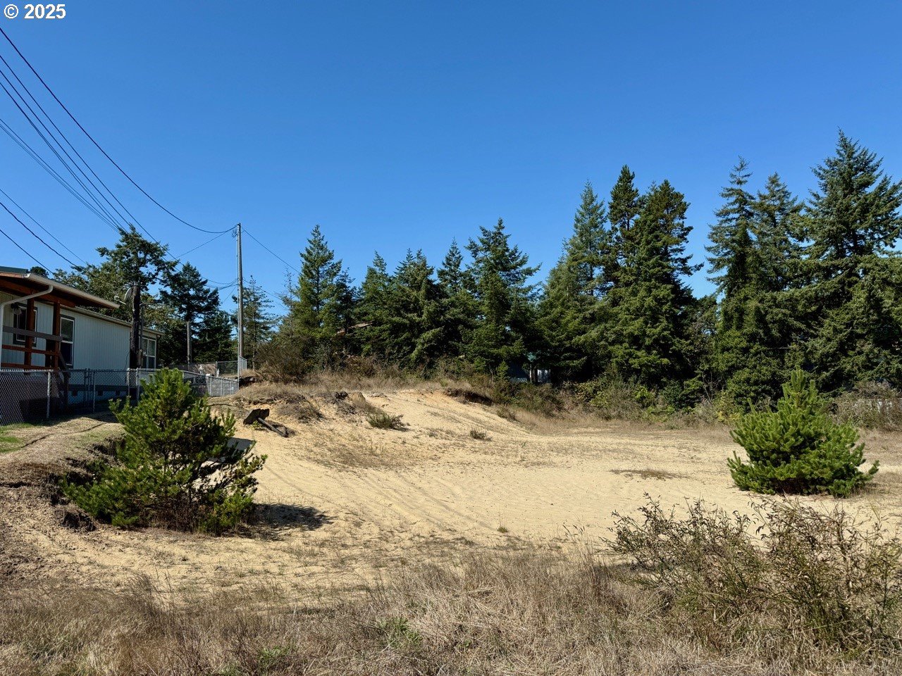 0 Hauser Road North Bend, OR 97459 - Photo 2 of 6 a view of a yard with plants and trees