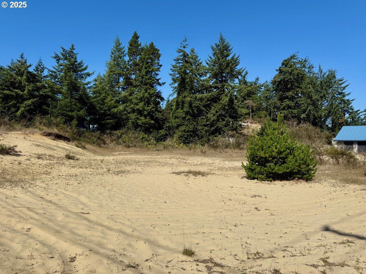 0 Hauser Road North Bend, OR 97459 - Photo 5 of 6 a view of a yard covered in snow