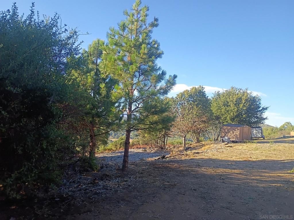 17150 Iron Springs Road Julian, CA 92036 - Photo 16 of 45