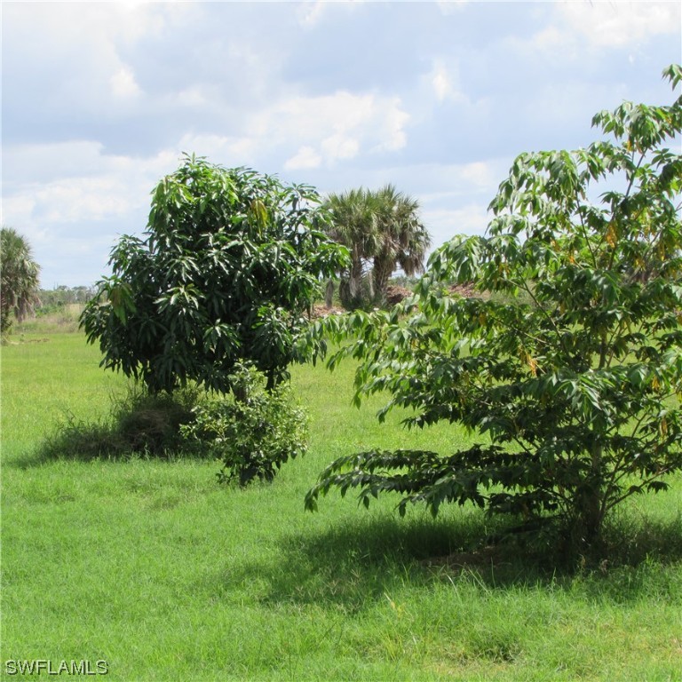 6700 Stringfellow Road St. James City, FL 33956 - Photo 11 of 25 a view of a garden with a lake