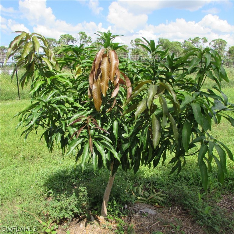 6700 Stringfellow Road St. James City, FL 33956 - Photo 12 of 25