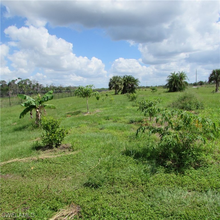 6700 Stringfellow Road St. James City, FL 33956 - Photo 14 of 25 a view of a green field with lots of green space