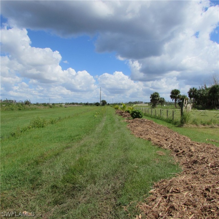 6700 Stringfellow Road St. James City, FL 33956 - Photo 16 of 25 a view of a big yard with plants and a large tree