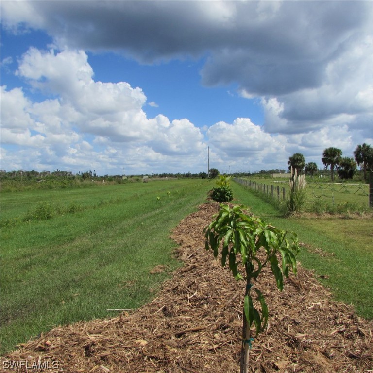 6700 Stringfellow Road St. James City, FL 33956 - Photo 18 of 25 a view of a yard with an outdoor seating