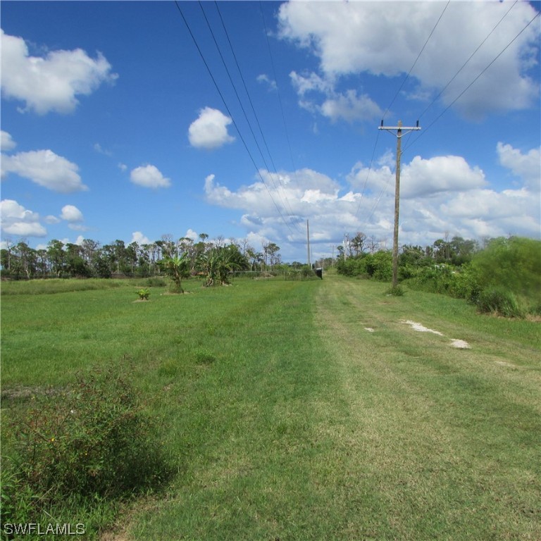 6700 Stringfellow Road St. James City, FL 33956 - Photo 19 of 25 a view of a green yard