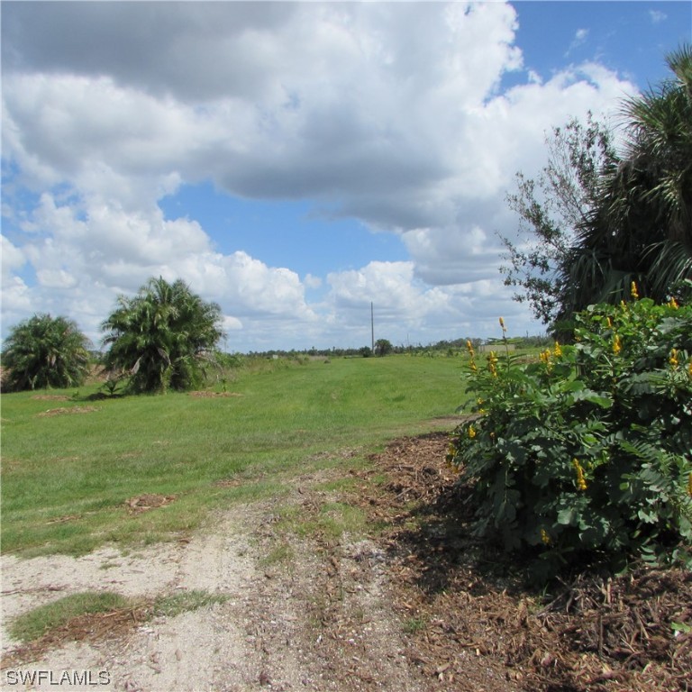 6700 Stringfellow Road St. James City, FL 33956 - Photo 3 of 25 a view of a big yard with lots of green space