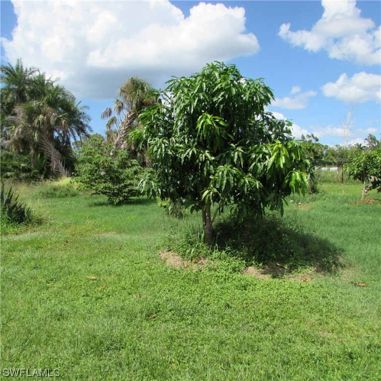 6700 Stringfellow Road St. James City, FL 33956 - Photo 6 of 25