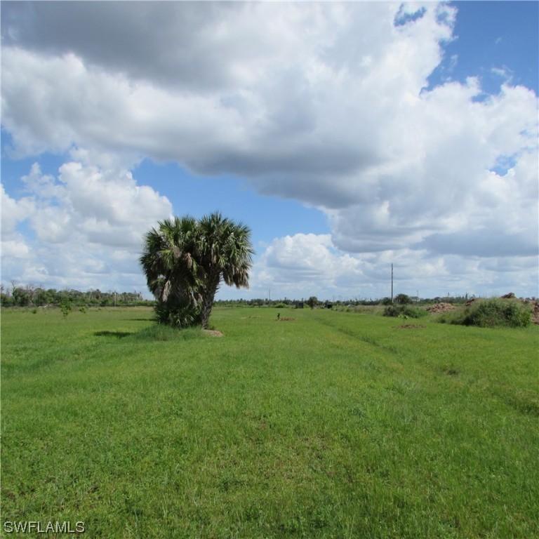 6700 Stringfellow Road St. James City, FL 33956 - Photo 8 of 25 a view of a big yard with a house in the background