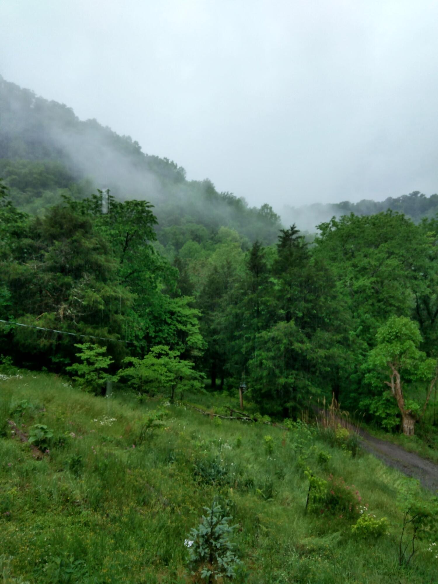 1064 Cathcart Road Dowelltown, TN 37059 - Photo 12 of 43 31