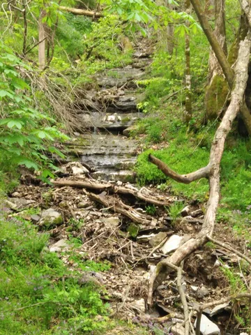 $445,000 | 1064 Cathcart Road, Dowelltown, TN 37059