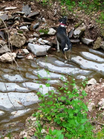 $445,000 | 1064 Cathcart Road, Dowelltown, TN 37059