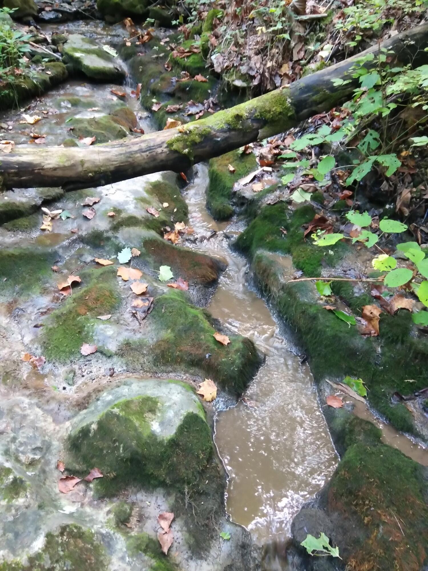 1064 Cathcart Road Dowelltown, TN 37059 - Photo 17 of 43 40