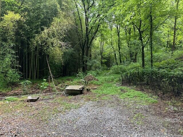 1064 Cathcart Road Dowelltown, TN 37059 - Photo 18 of 43 3