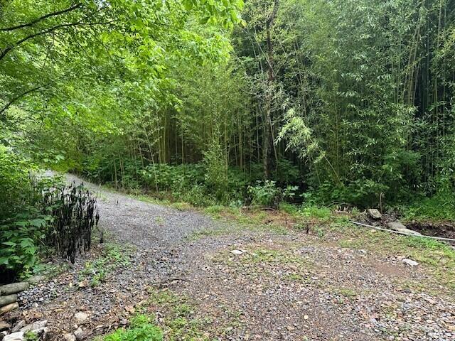 1064 Cathcart Road Dowelltown, TN 37059 - Photo 19 of 43 4