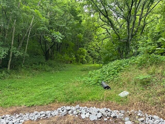 1064 Cathcart Road Dowelltown, TN 37059 - Photo 22 of 43 10