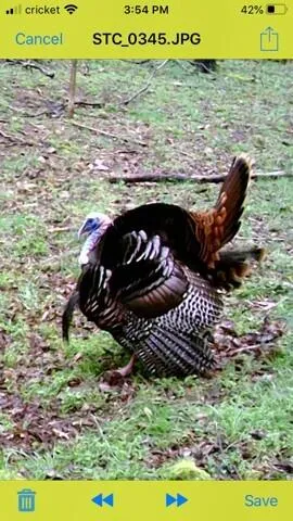 $445,000 | 1064 Cathcart Road, Dowelltown, TN 37059