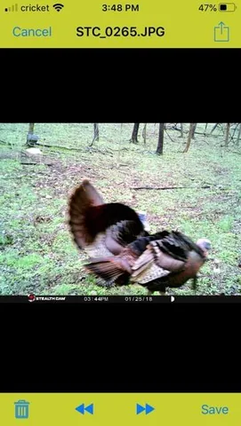 $445,000 | 1064 Cathcart Road, Dowelltown, TN 37059