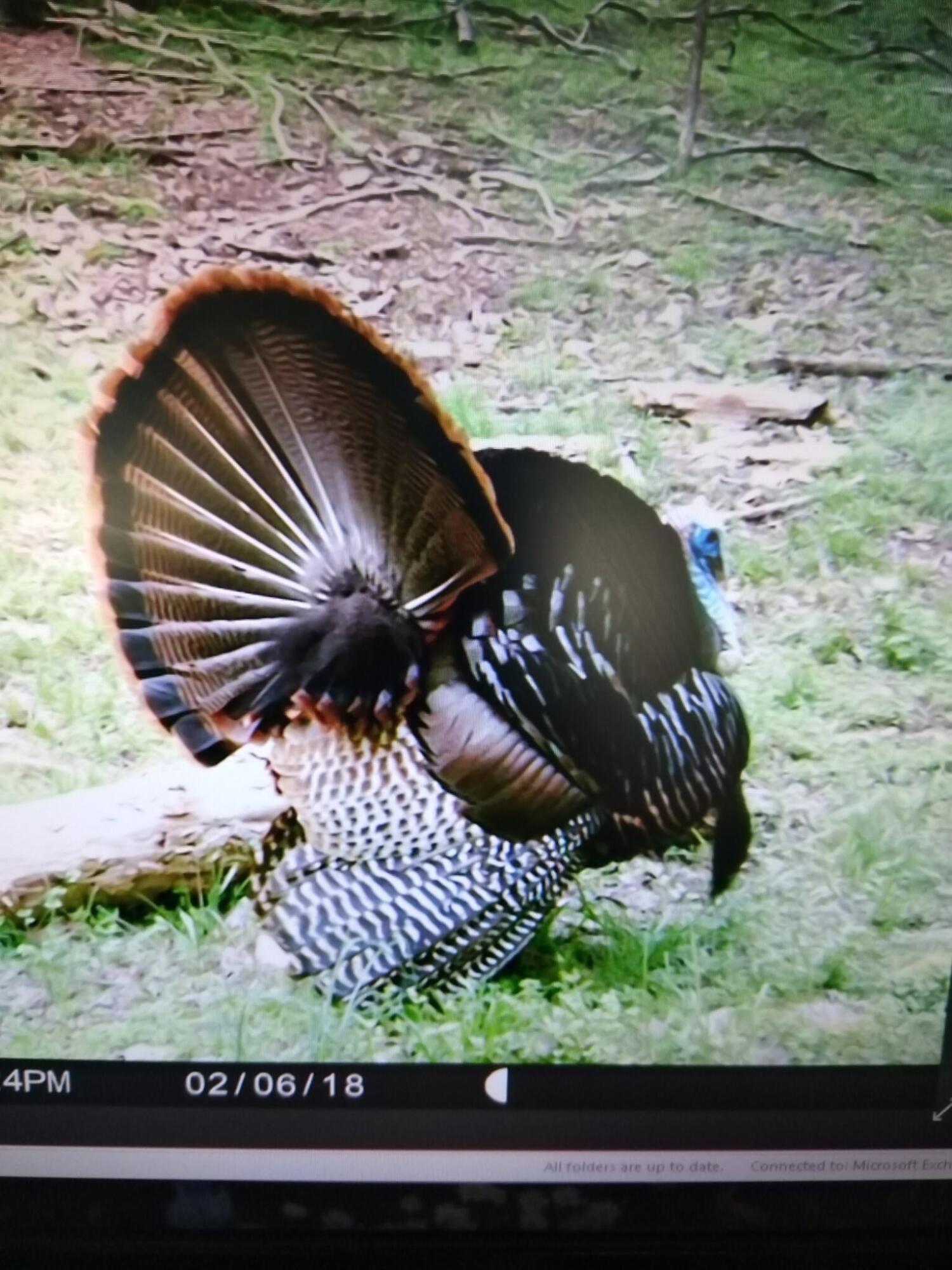 1064 Cathcart Road Dowelltown, TN 37059 - Photo 40 of 43 30