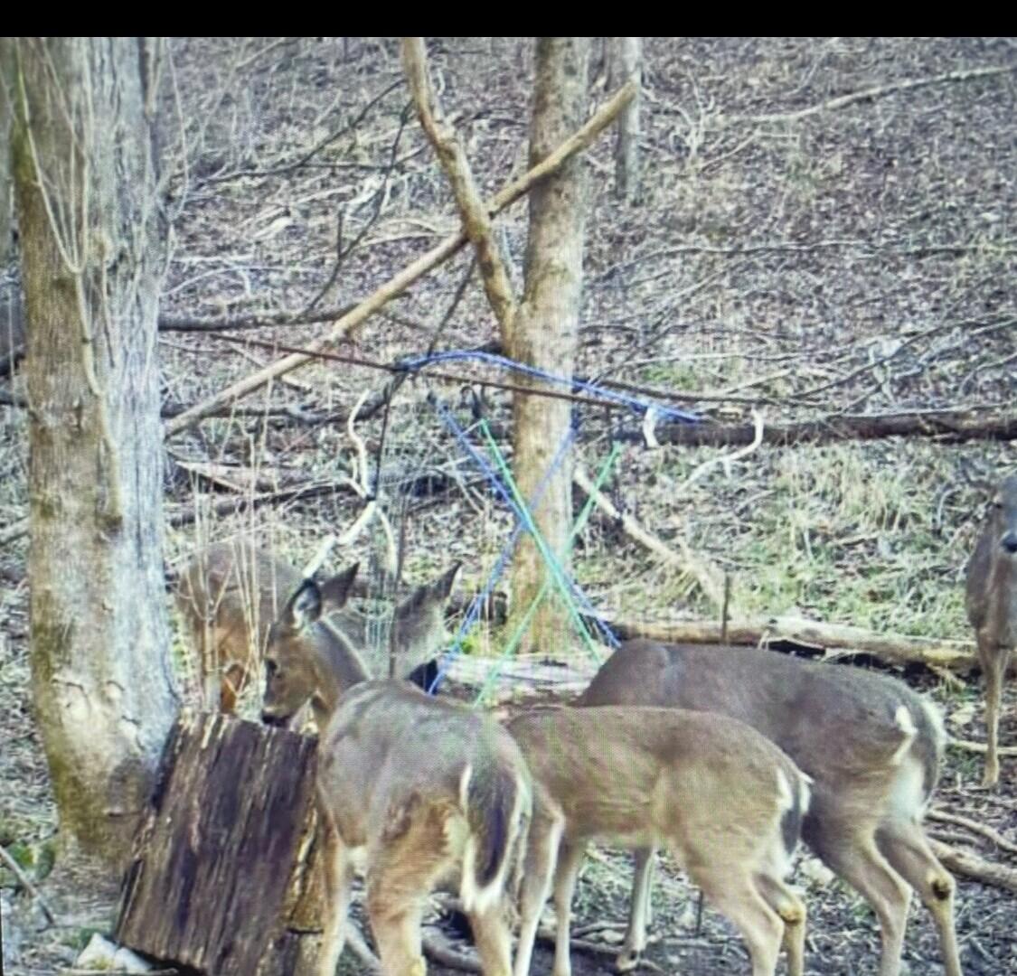 1064 Cathcart Road Dowelltown, TN 37059 - Photo 41 of 43 41