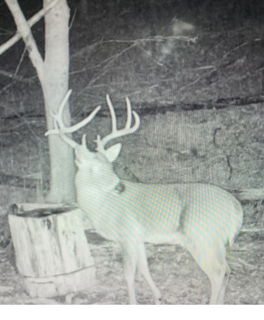 1064 Cathcart Road Dowelltown, TN 37059 - Photo 42 of 43 42